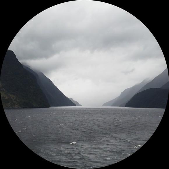 Meet your Posher, Joy - Picture 1 of 1